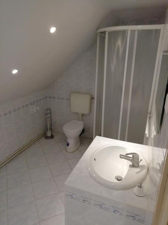 Maci Vendeghaz Apartment Bichișciaba Exterior foto